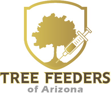 Tree and Plant Health Arizona